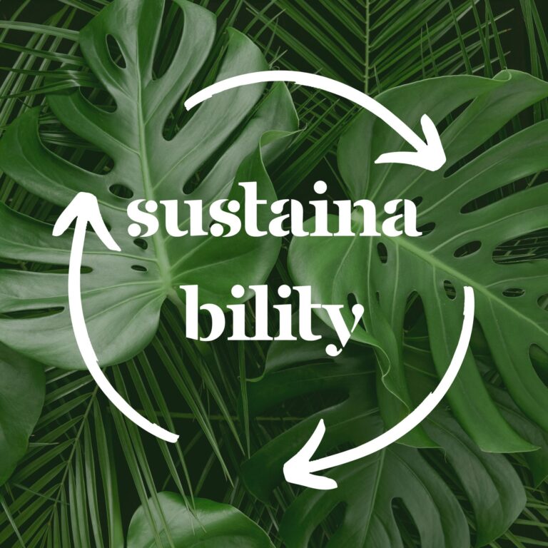 Sustainability การตลาดที่เน้นความยั่งยืน สร้างแบรนด์ให้แข็งแรง