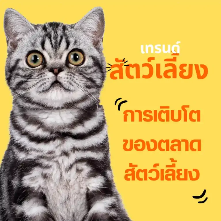 การเติบโตของตลาดสัตว์เลี้ยง