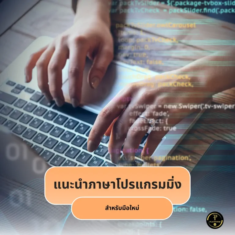 แนะนำภาษาโปรแกรมมิ่งสำหรับมือใหม่