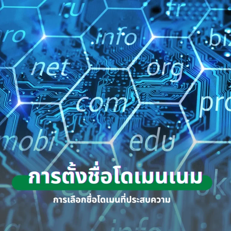 การตั้งชื่อโดเมนเนม domain name