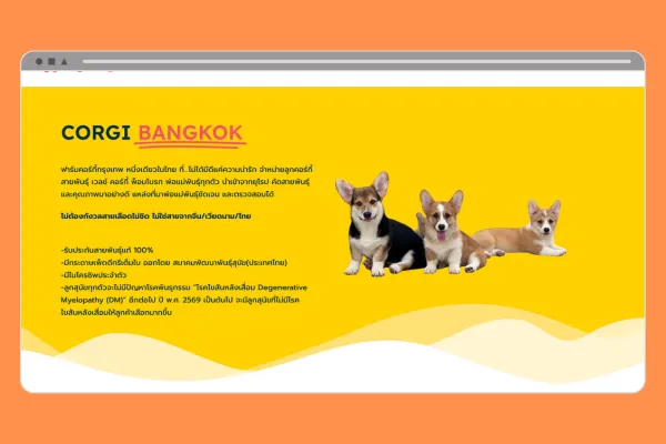 https://corgikennel.com/